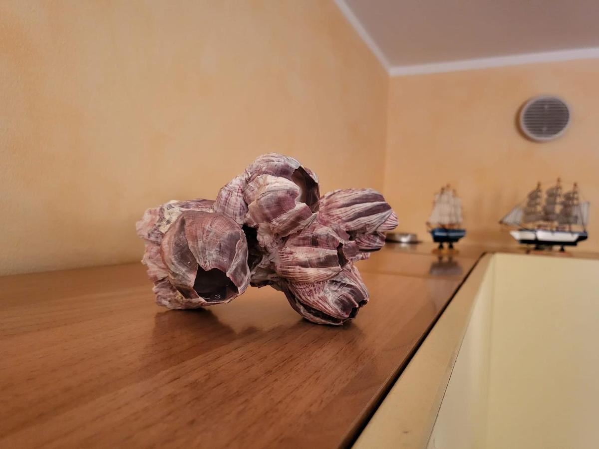 The Shell Apartment Bordighera Dış mekan fotoğraf